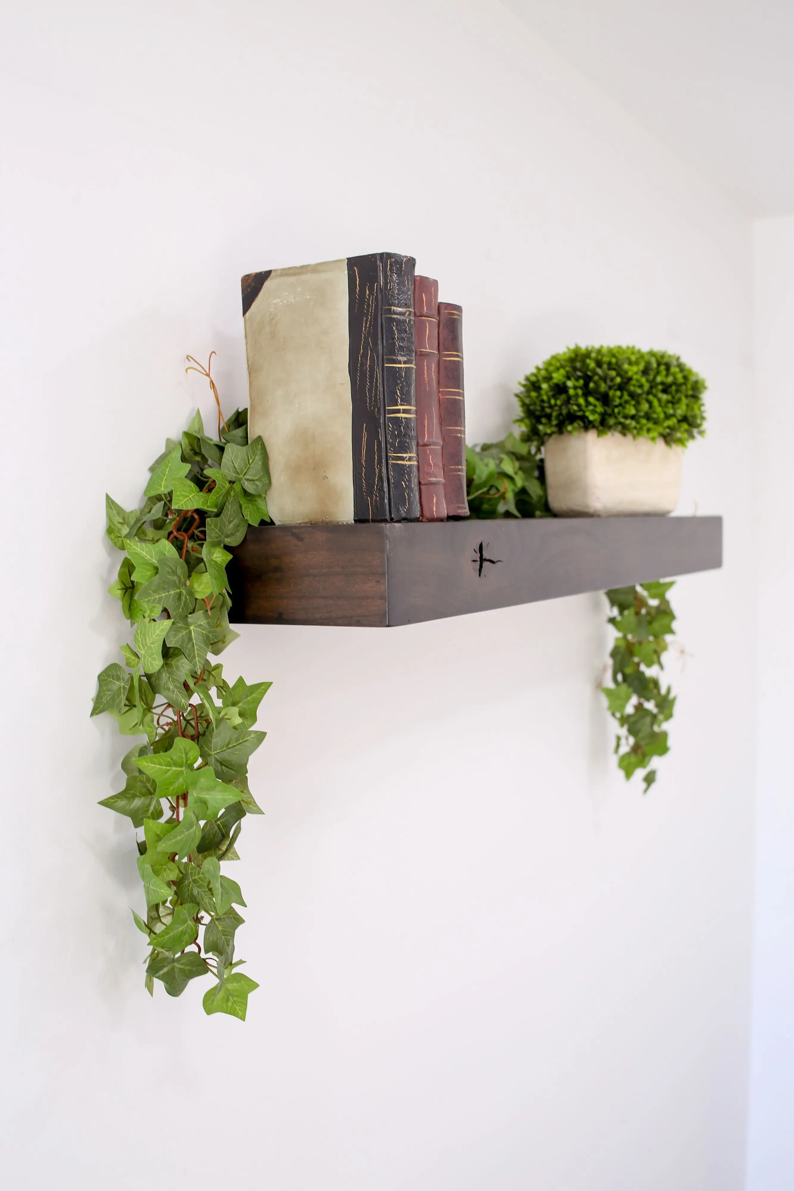 a shelf with books and plants on it