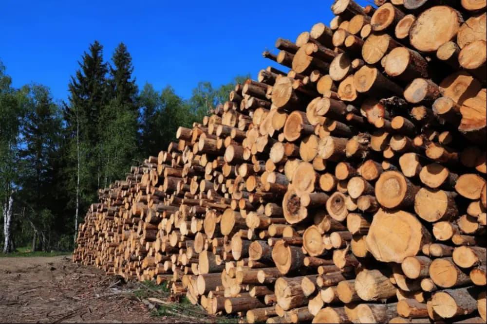 an image of logs piled up